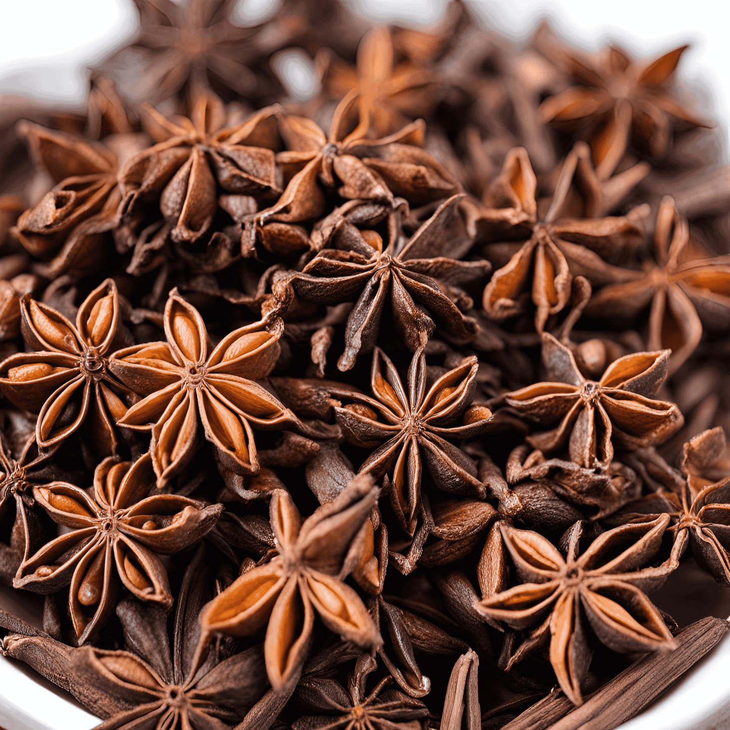 Star Anise - Masala Cafe