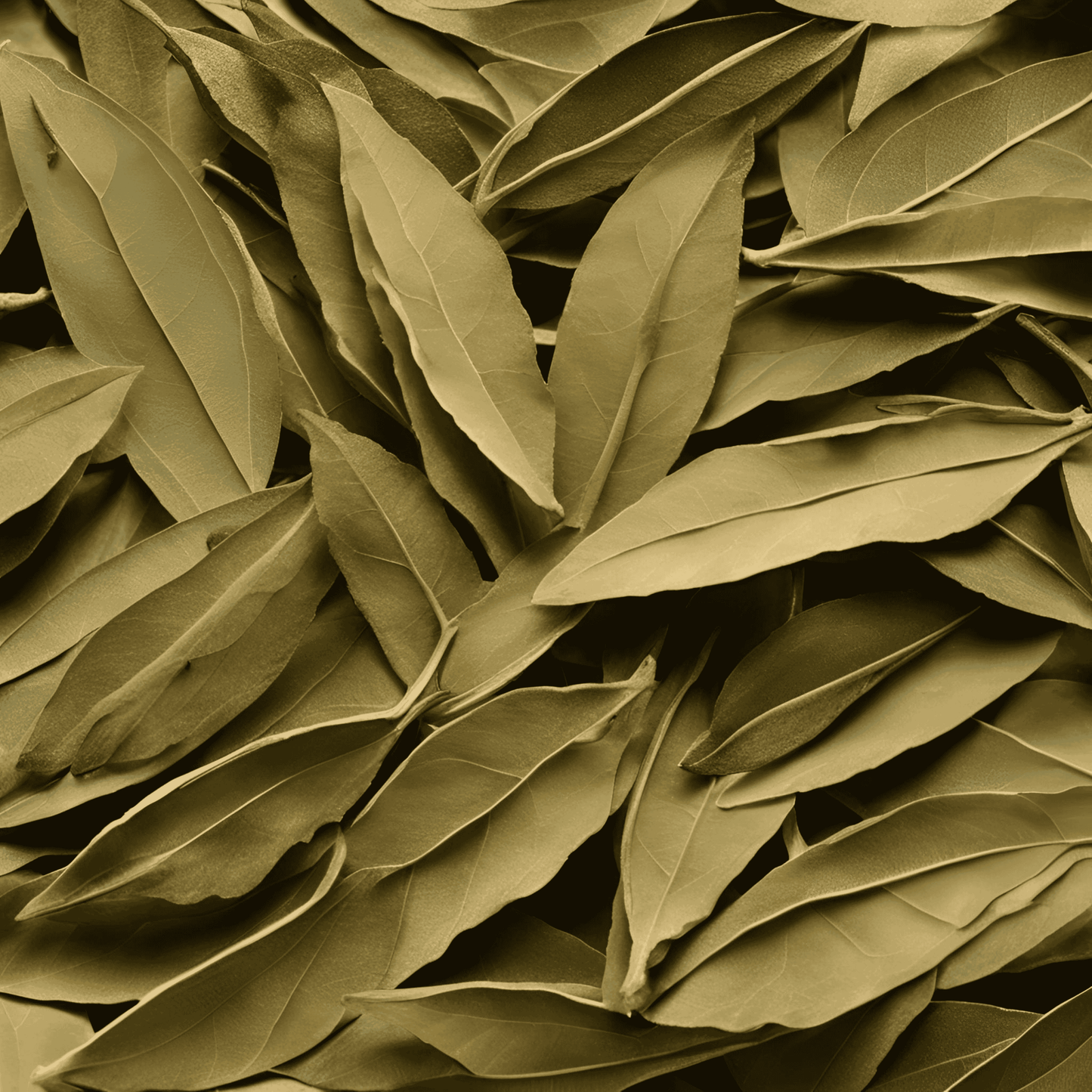 Red Chilli + Kashmiri Chilli + Tejpata Whole Combo (3 x 100g)