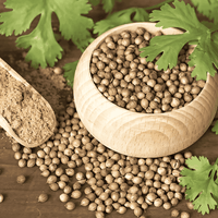 Coriander (Dhania) - Masala Cafe